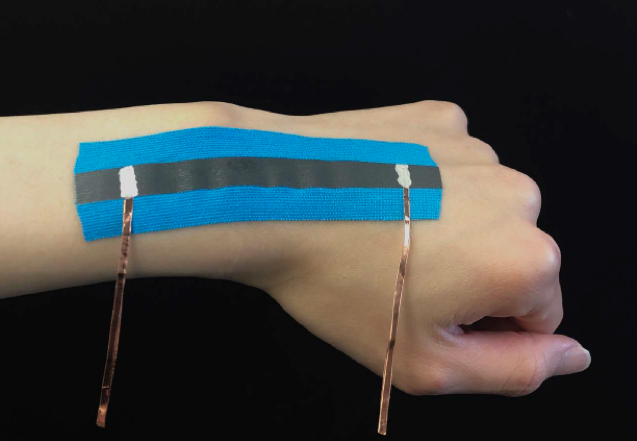 Loh, Wearable Sensors