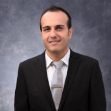 Amir H. Alavi