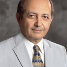 Headshot of Berok Khoshnevis.